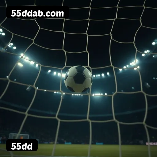Níveis do programa VIP da 55dd